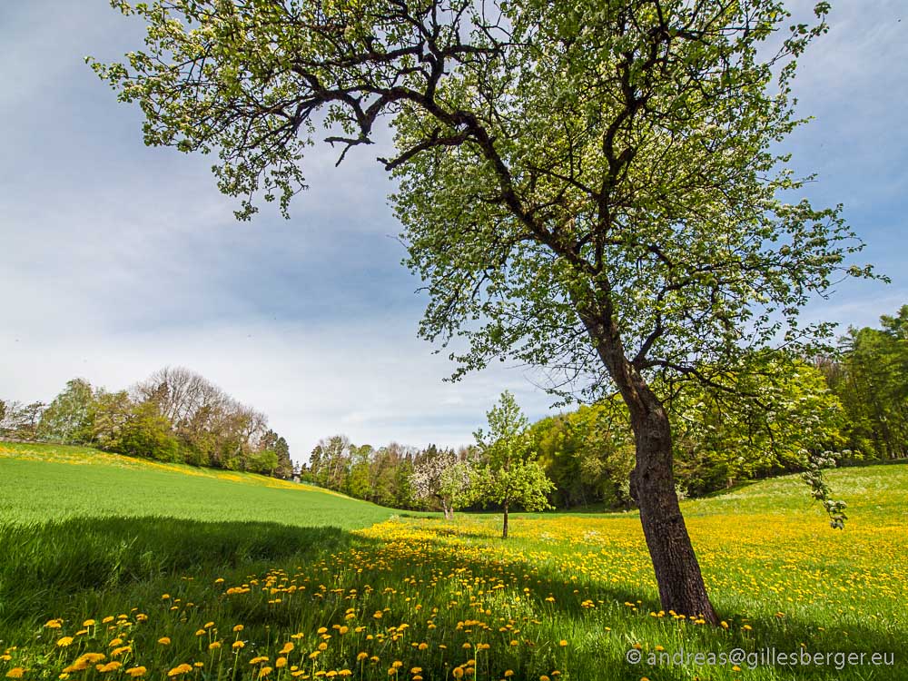 Gmunden Upper Austria