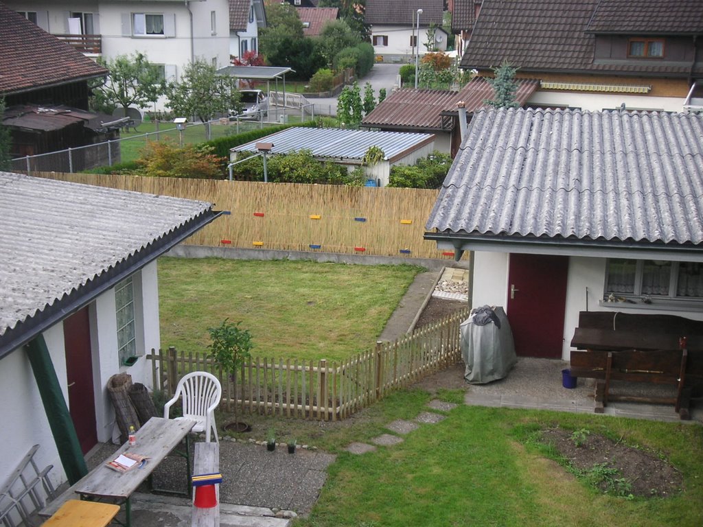 Monis Hundetreff - Welpenspielplatz - dogschool - puppys playground