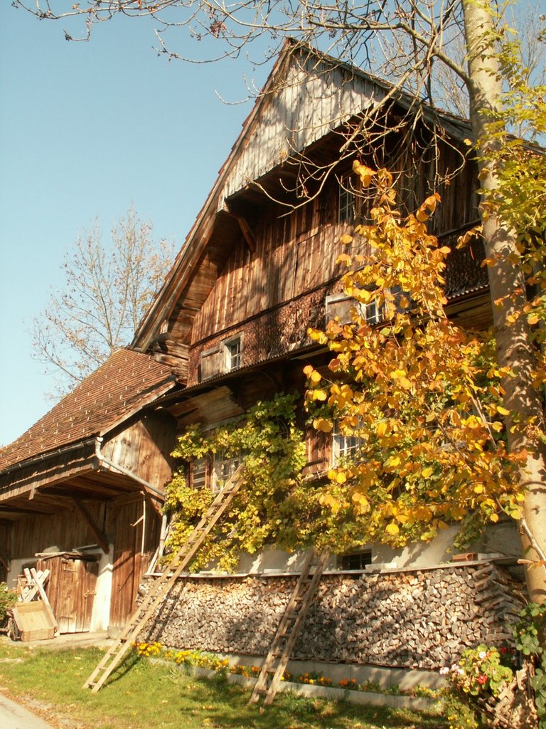 Rheintalhaus am Bürgle