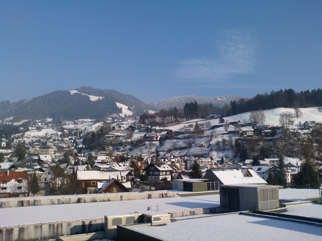 view from FHV