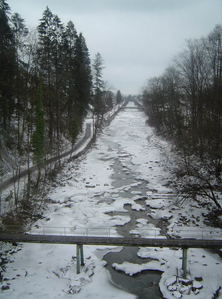 Dornbirner Ache (Blick aus der Gondel von der Karren Seilbahn)