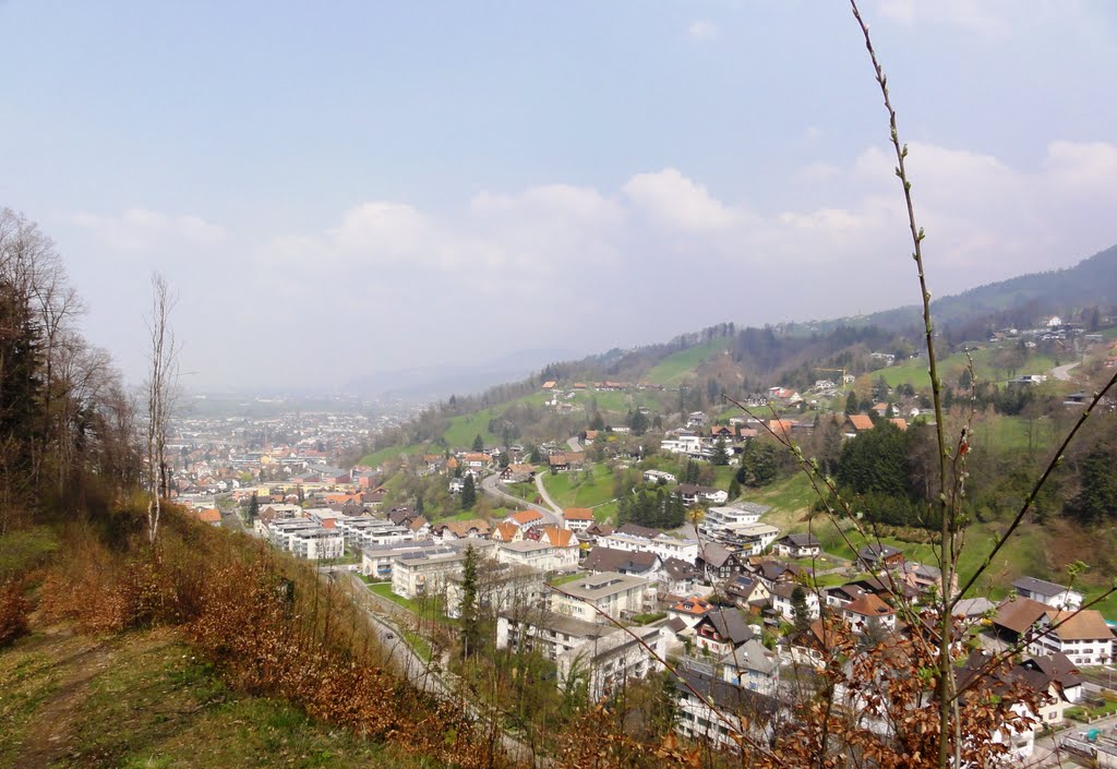 Blick vom Zanzenberg