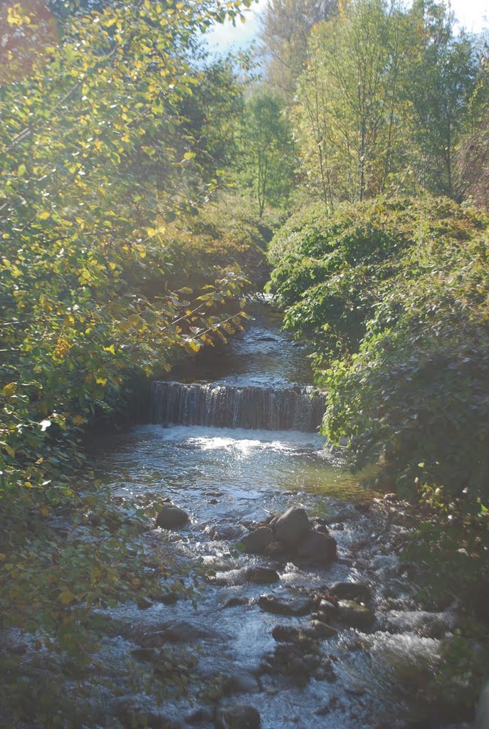 Dornbirn - Spaziergang über den Steinebach
