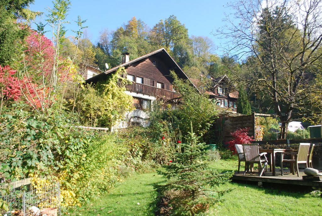 Dornbirn - herbstliche Farbenpracht
