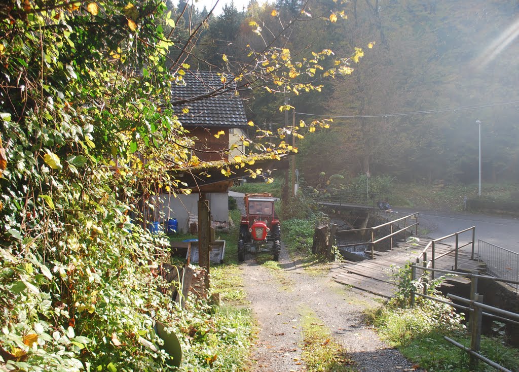 Dornbirn - Eulental
