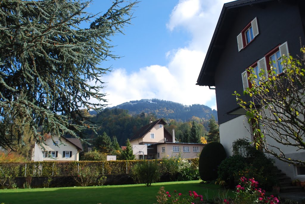 Dornbirn - der erste Schnee...