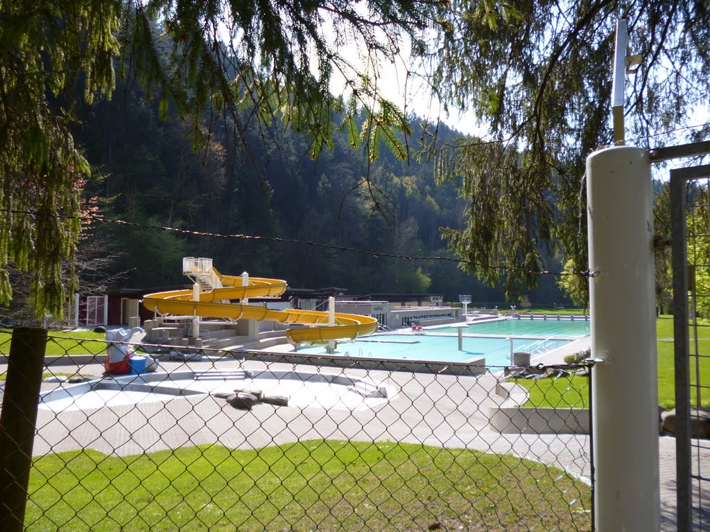 Waldbad Enz
