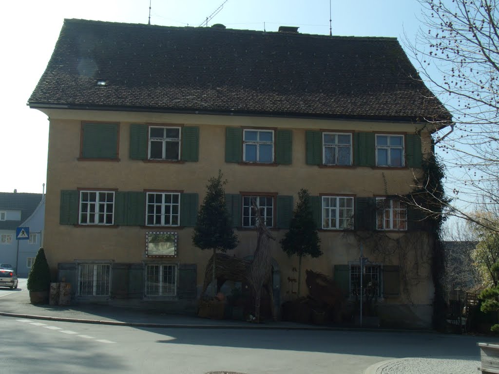Rosenstraße