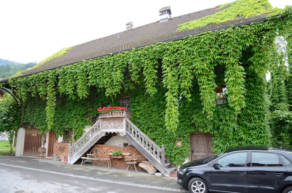 Fußach