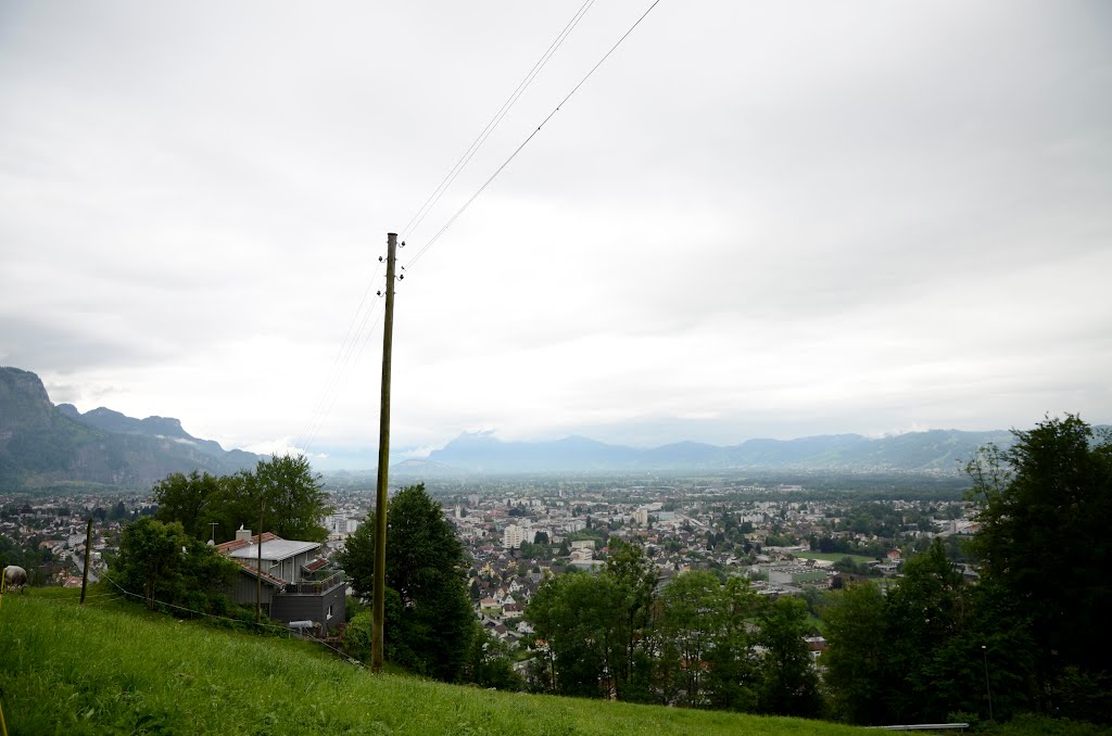Mäder