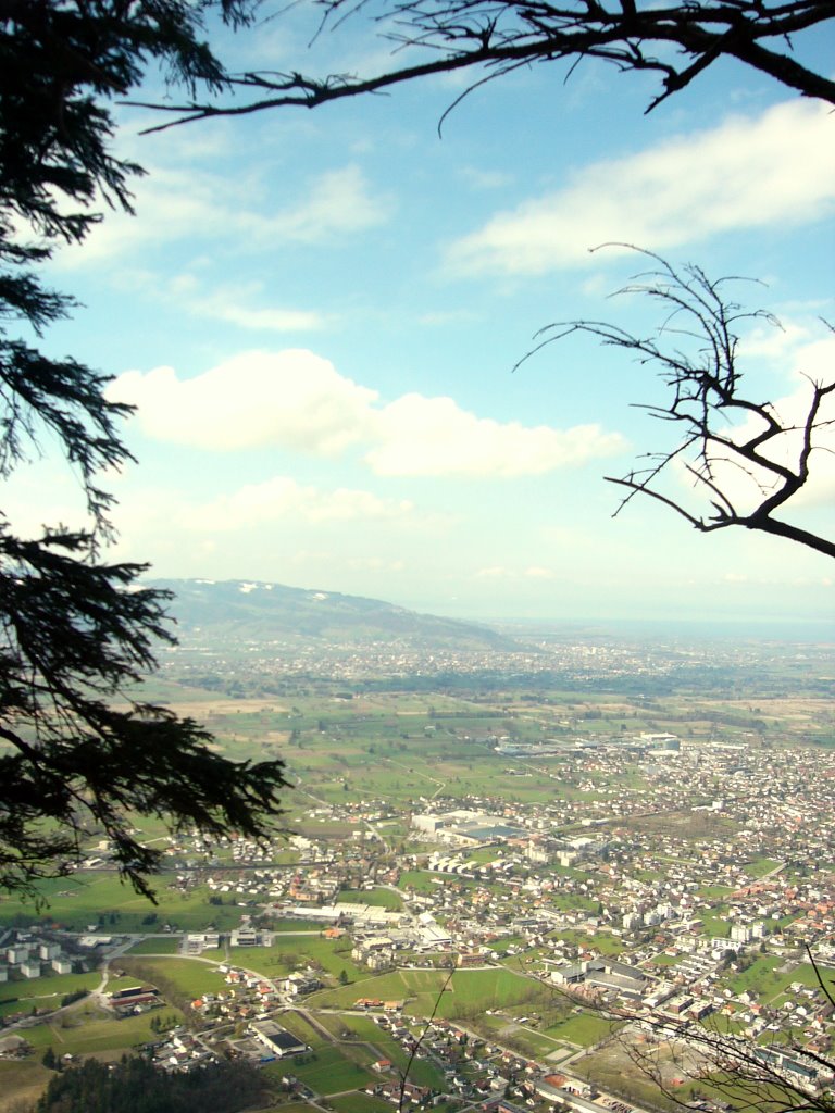 Dornbirn