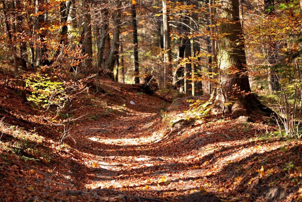 Umgebung Höttinger Bild