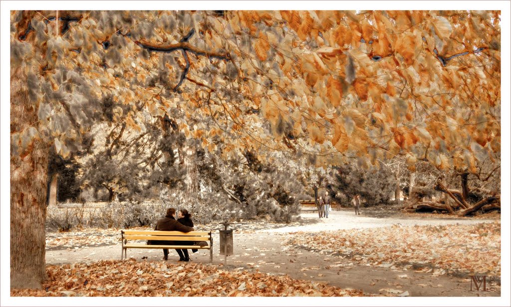Herbst 1