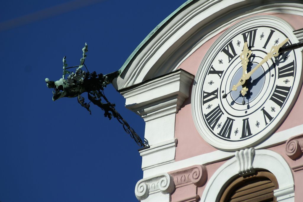 #27- CSP novembre 2010 - Particolare di orologio e grondaia a Innsbruck - Austria  ( by Fabio )