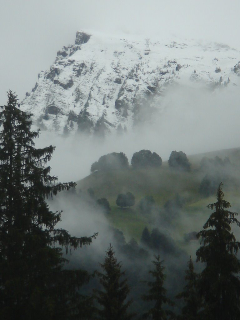 Kitzbühel Horn