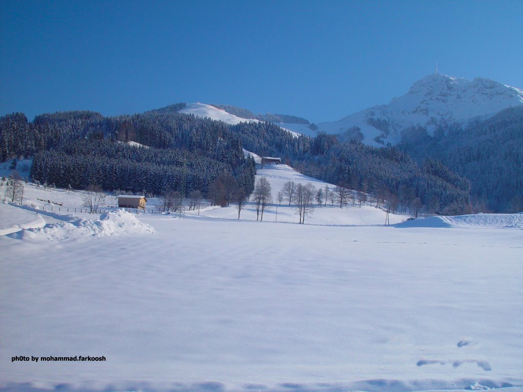 frozen heaven