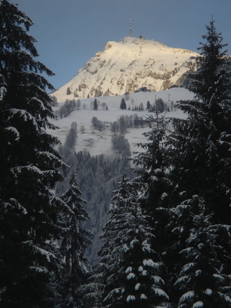 Kitzbühel Horn