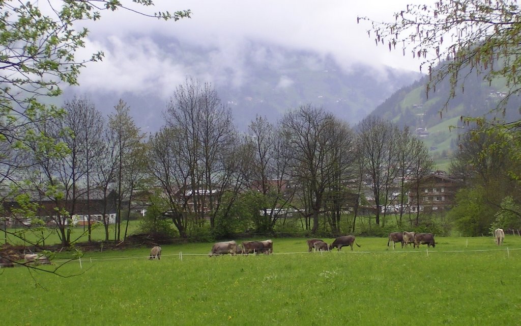 Mayrhofen