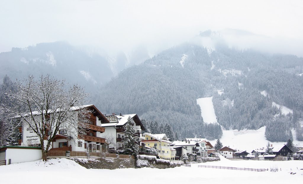 Mayrhofen, Ahorn