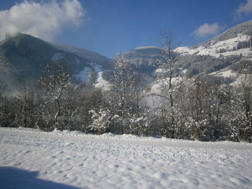 Winterbilder