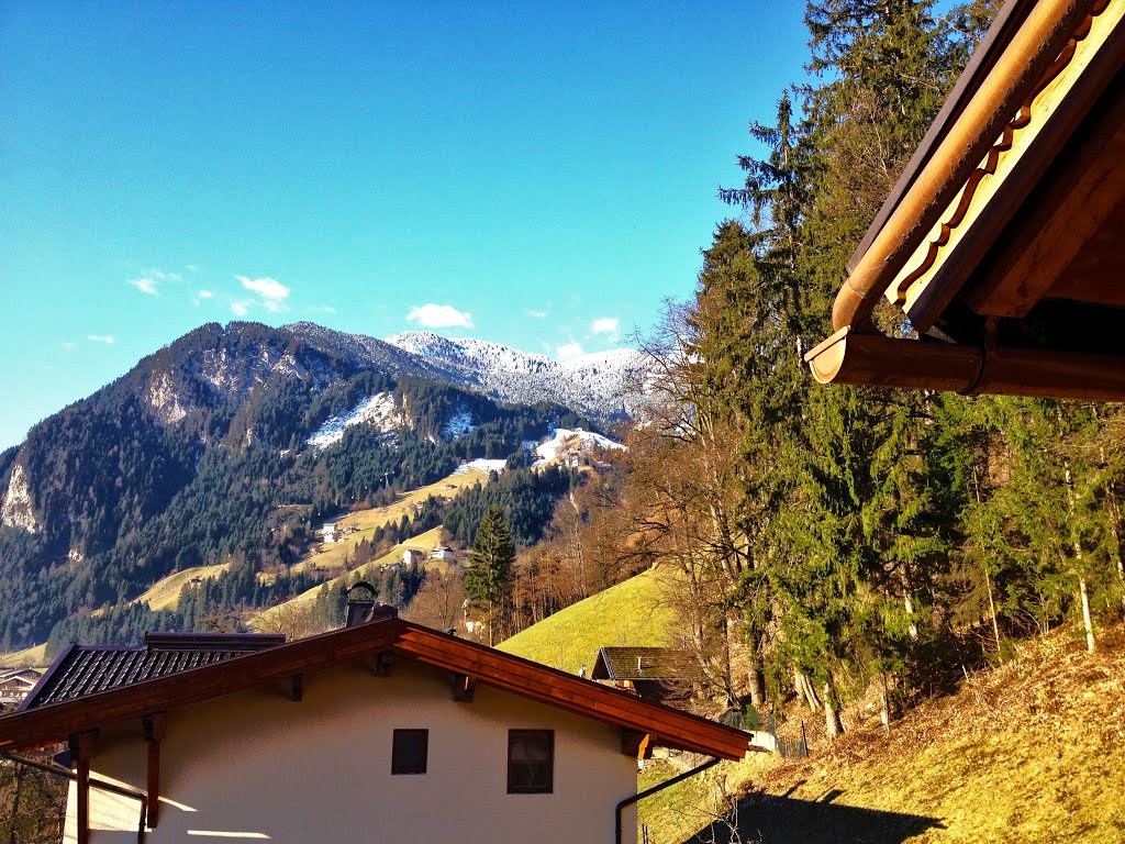 Blick auf die Zillertaler Alpen