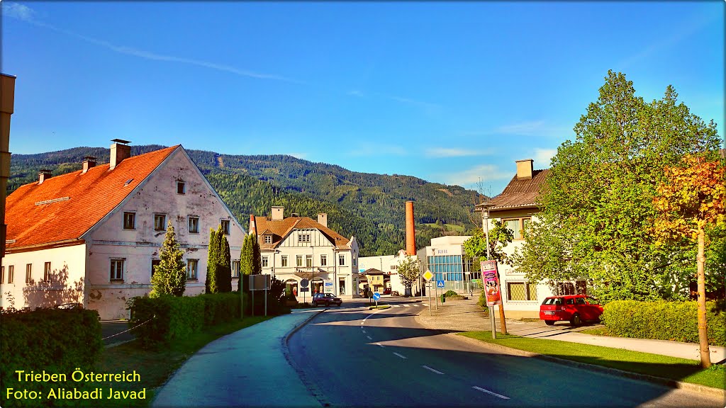 Foto: Aliabadi Javad - Trieben Österreich