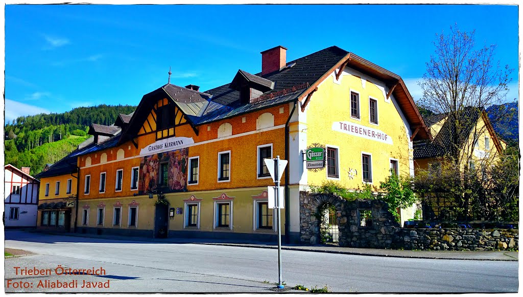 Foto: Aliabadi Javad - Trieben Österreich