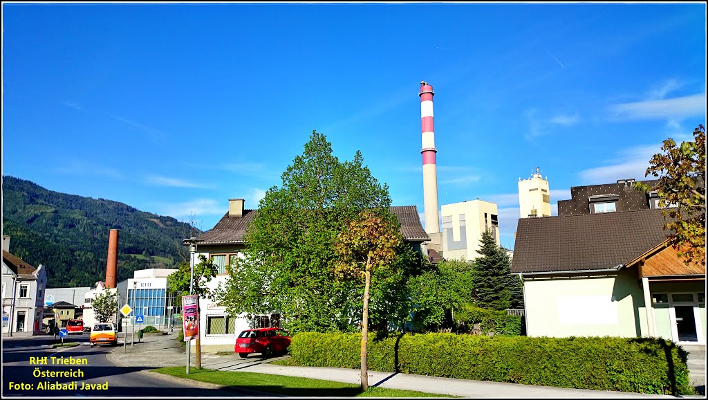 Foto: Aliabadi Javad - Trieben Österreich