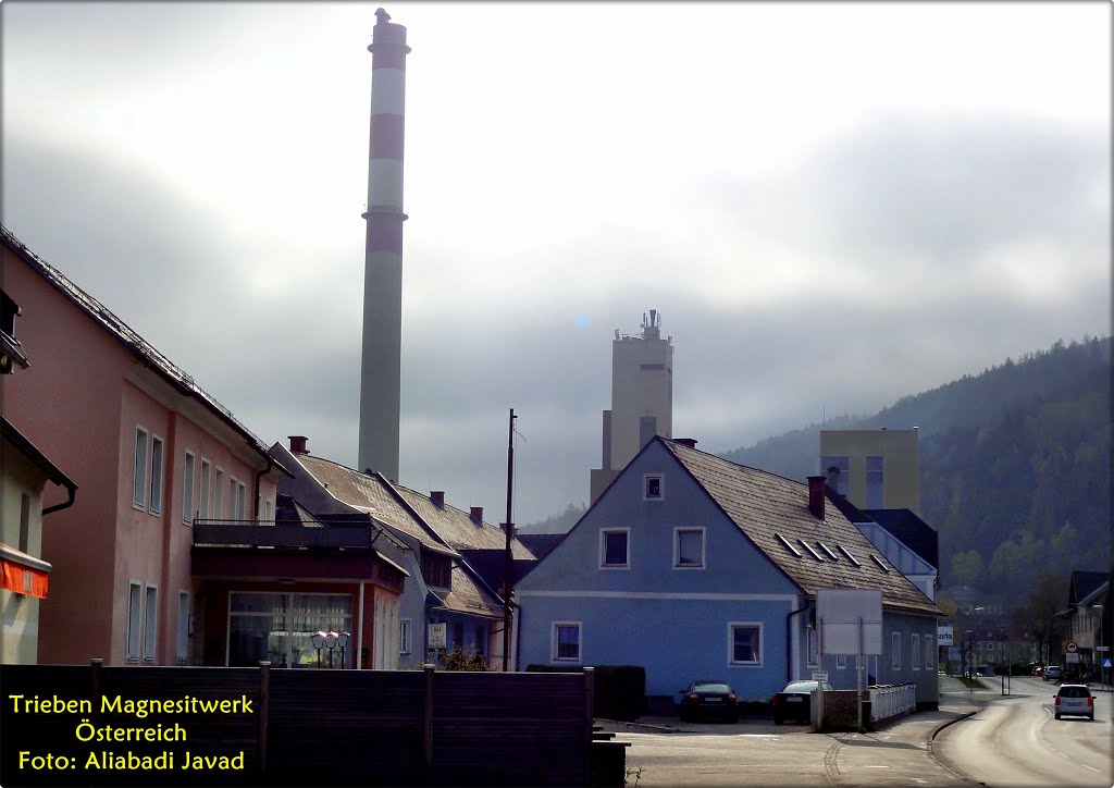 Selzthal