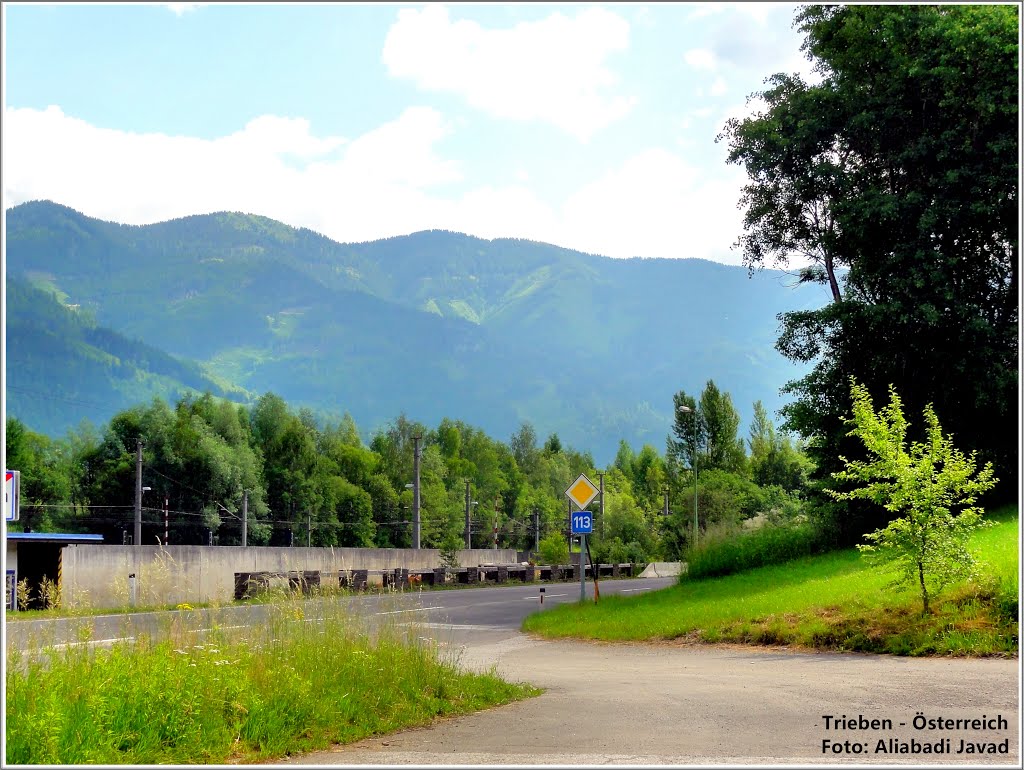 Foto: Aliabadi Javad - Trieben Österreich