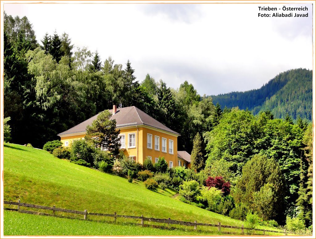 Foto: Aliabadi Javad - Trieben Österreich