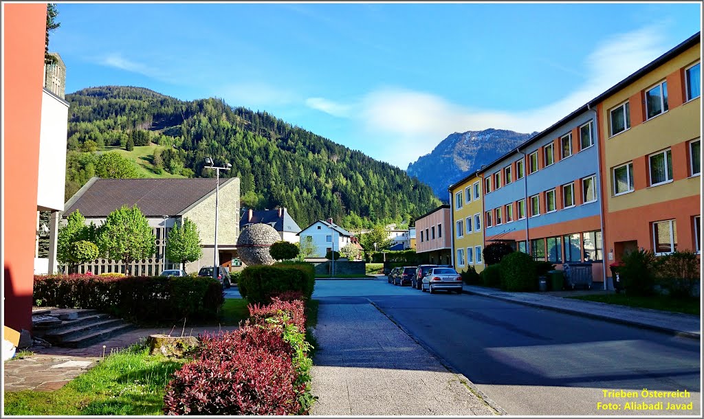 Foto: Aliabadi Javad - Trieben Österreich