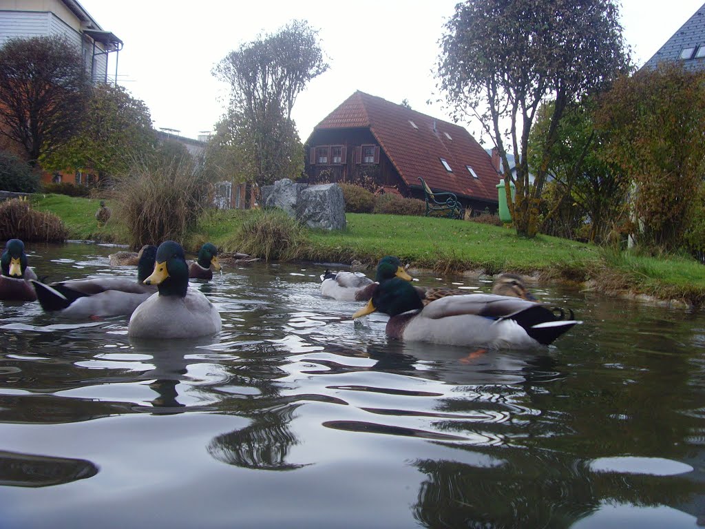 Trieben - Austria (Foto von Aliabadi - Javad)