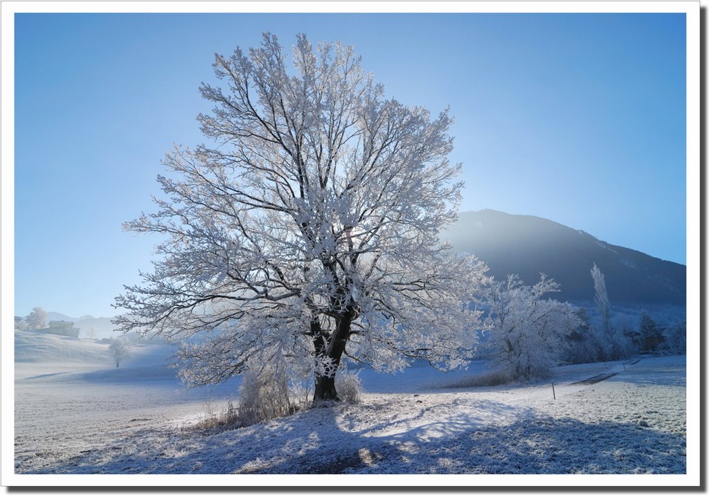 cold morning in Tisis