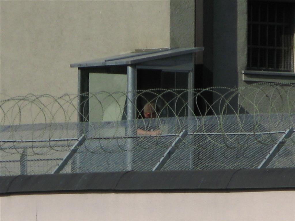 Schlüsselhund überwacht den Hofgang