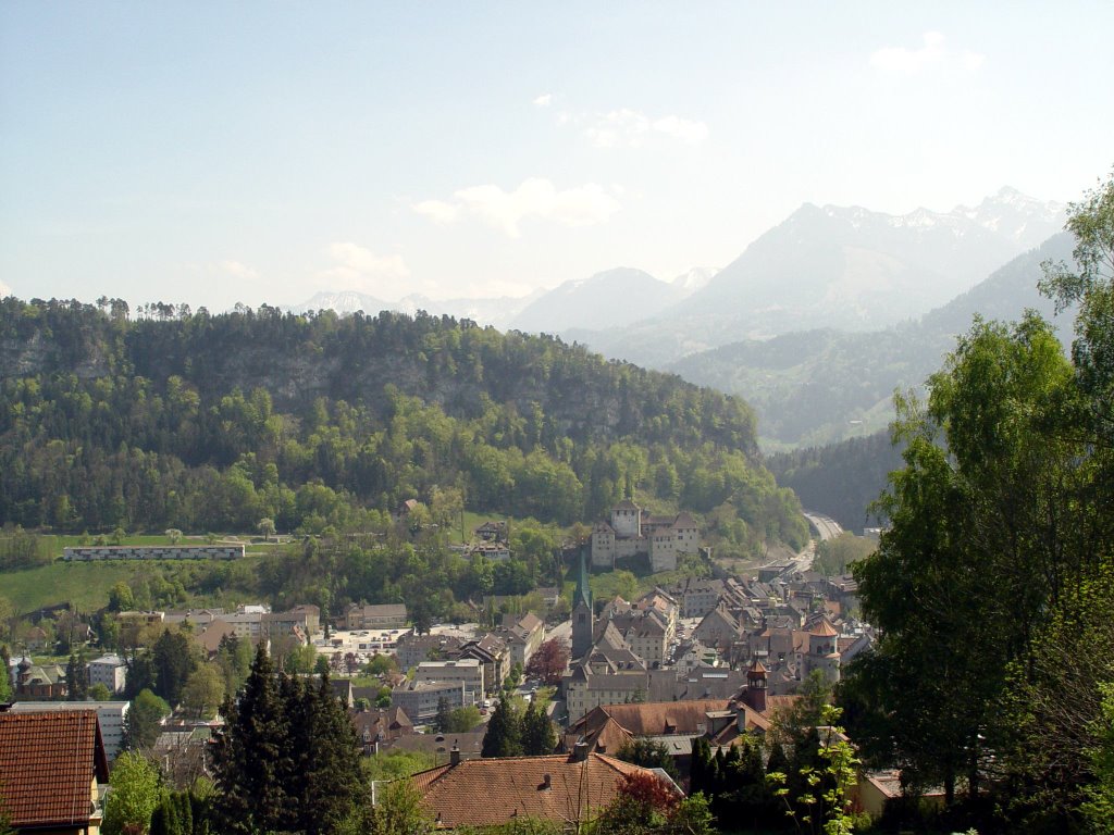Feldkirch Overview
