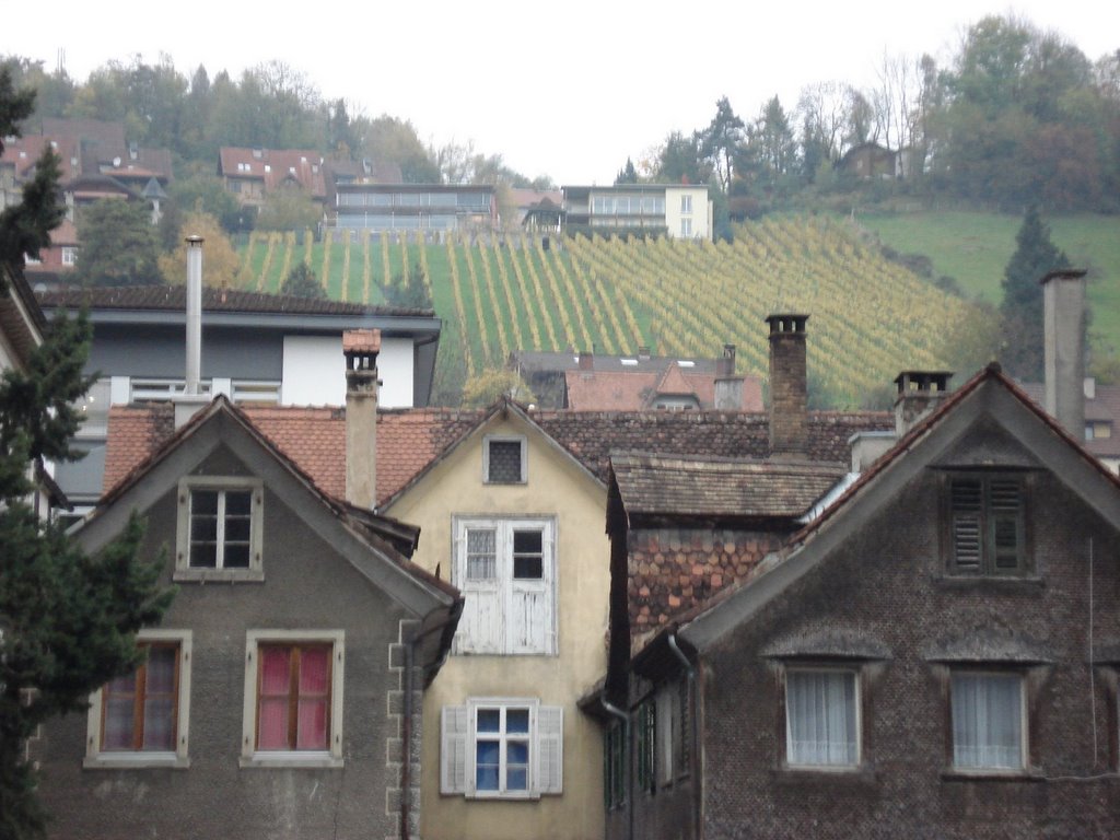 Häuser in Feldkirch, Österreich