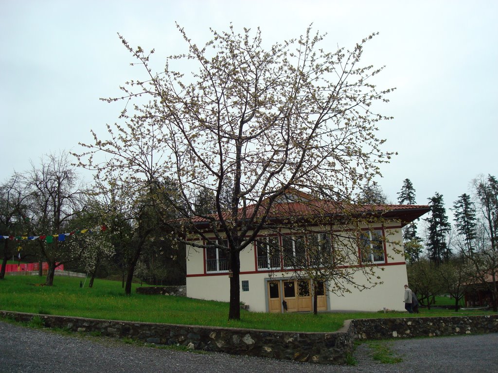 Buddistisches Zentrum auf der Letze (2. Wohnbereich mit Baum davor)