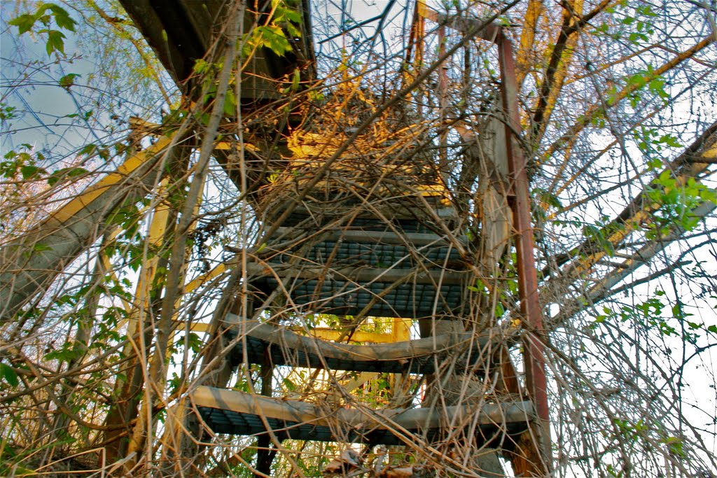 back to nature