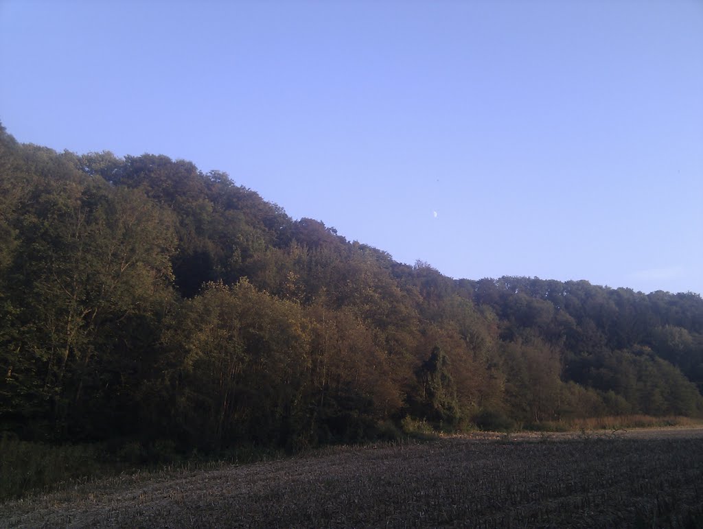 Dickerldorf