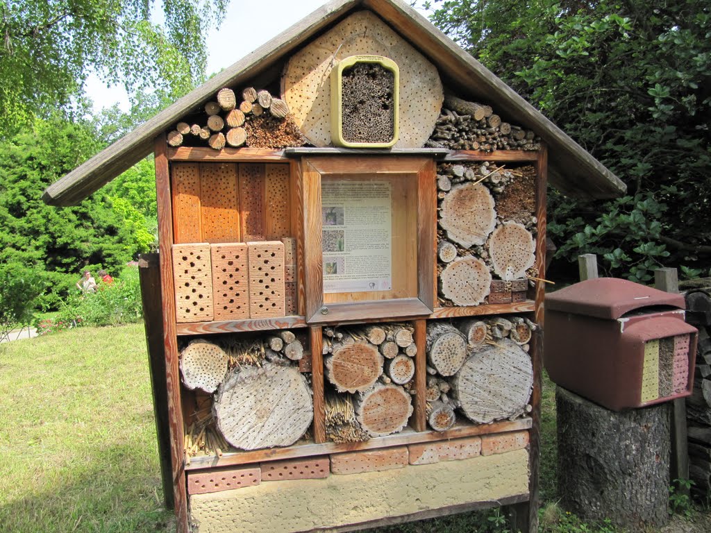 Insektenhaus