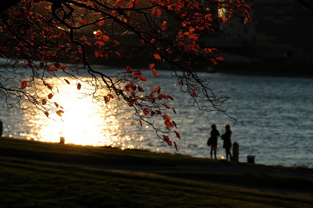 Herbst in Linz