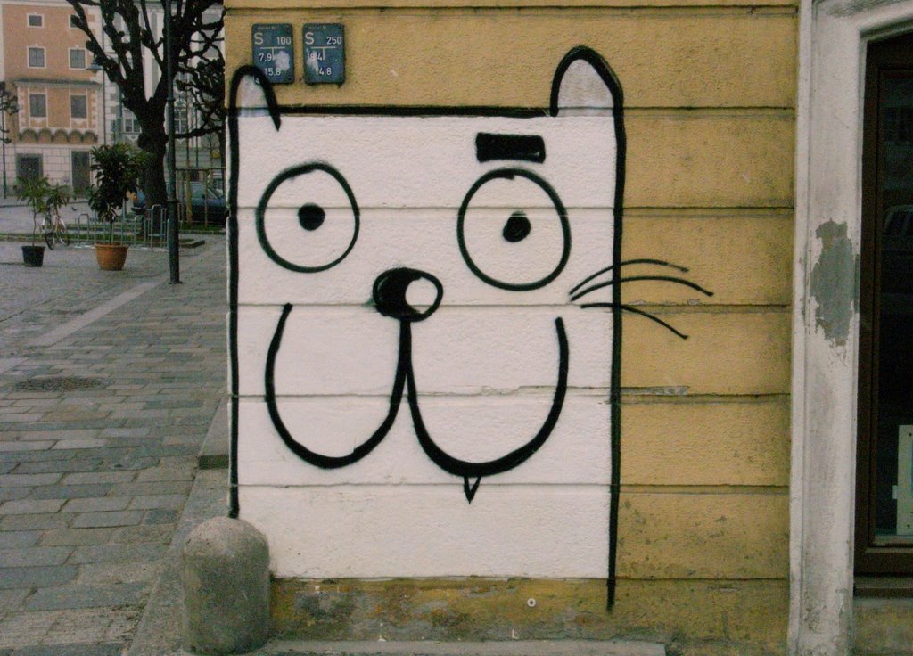 CATS