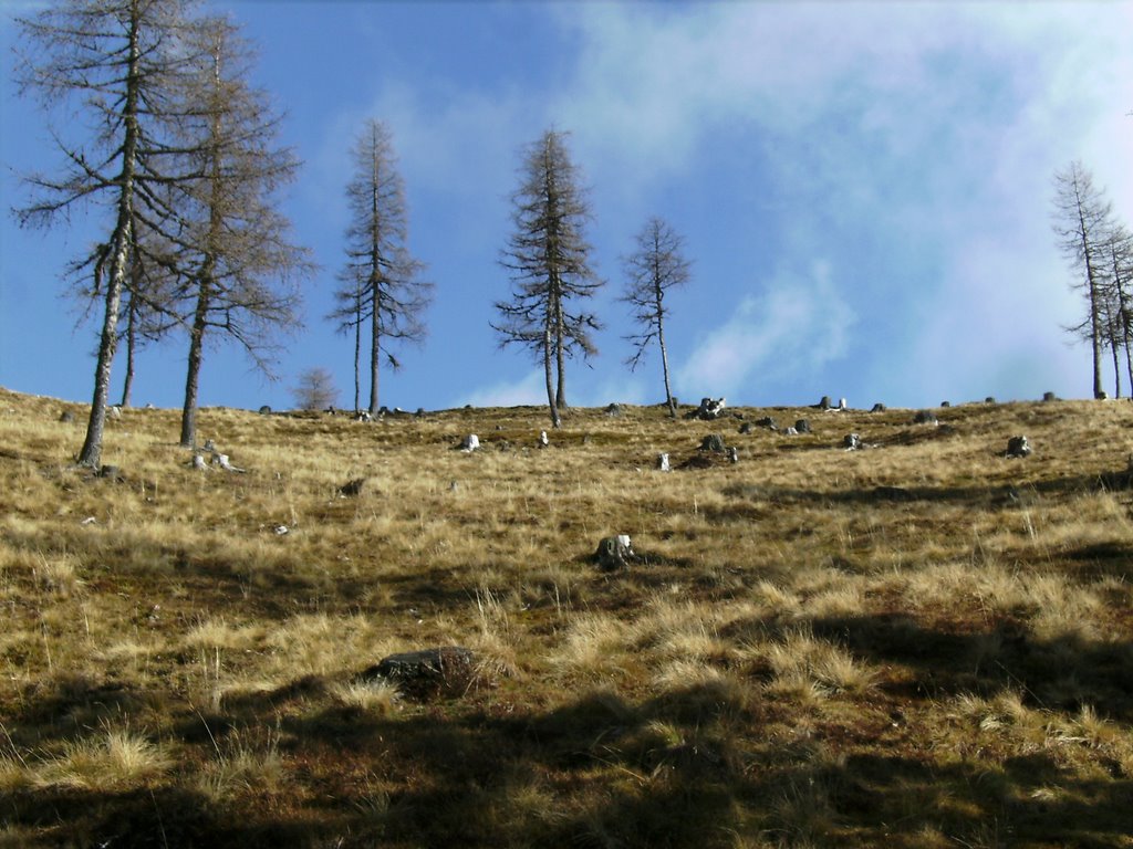 Spätherbst am Buchskopf
