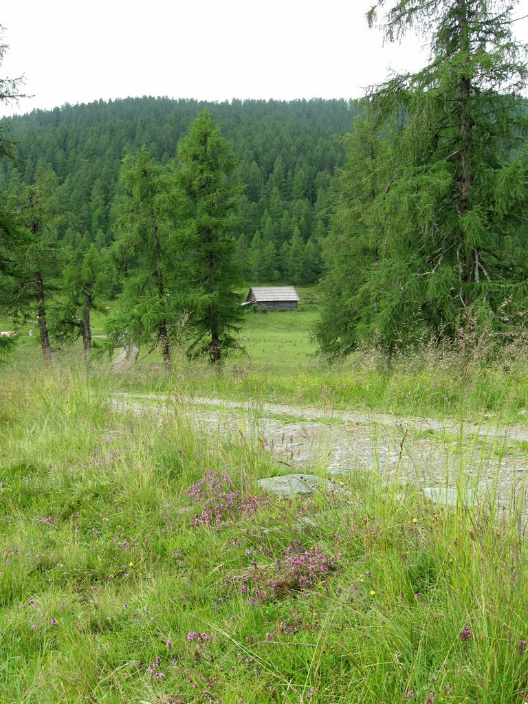 Wald- und Wiesenweg auf der Hochrindl