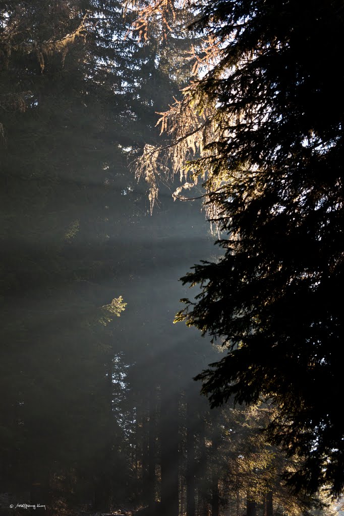 sunrays