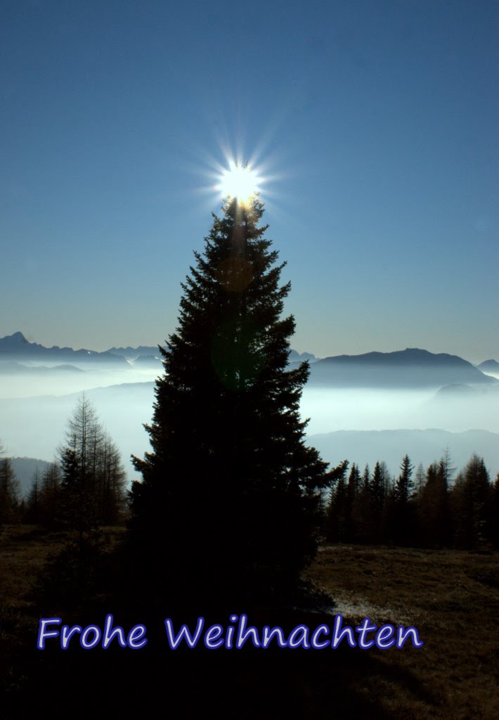 Merry Christmas and a Happy New Year  for all my friends ....