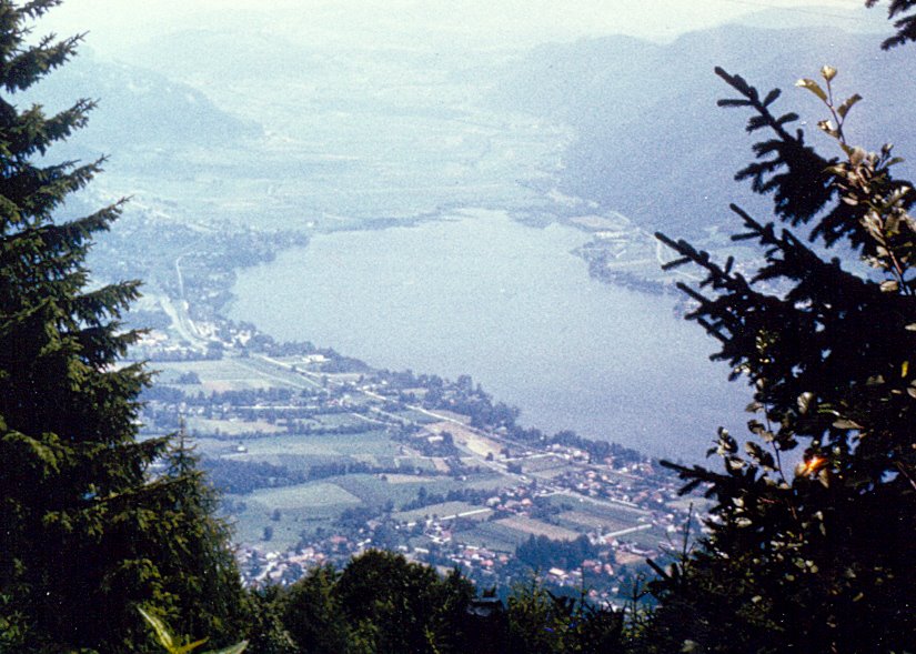Auen