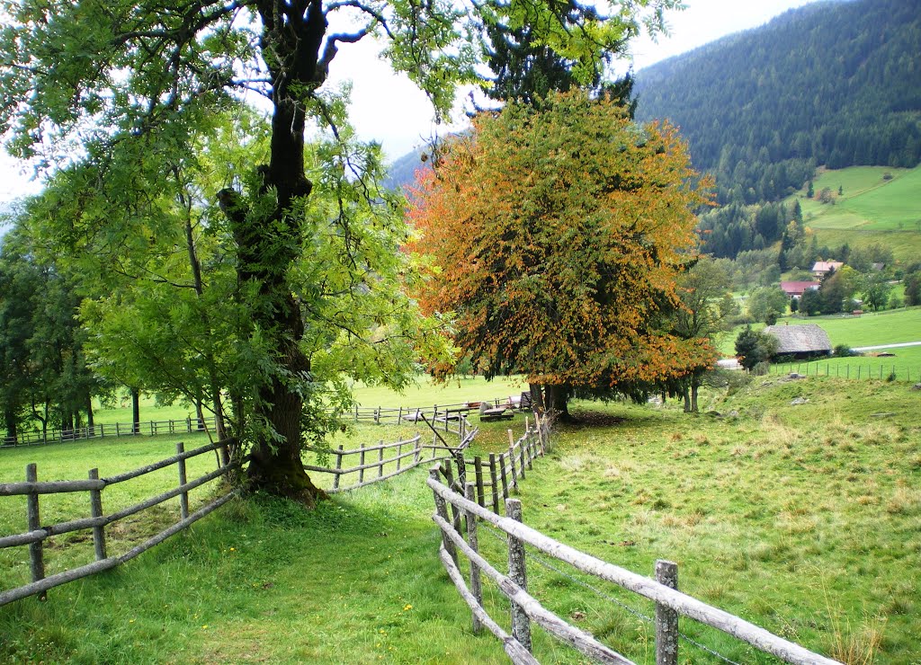 bei Laastadt
