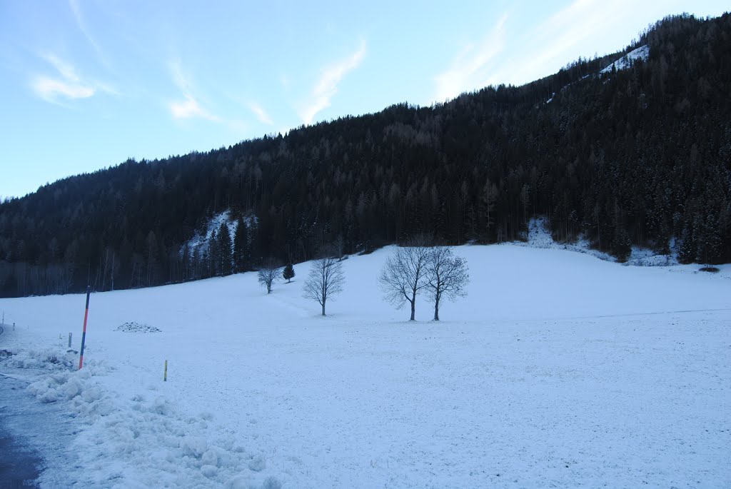 In der Wiederschwing